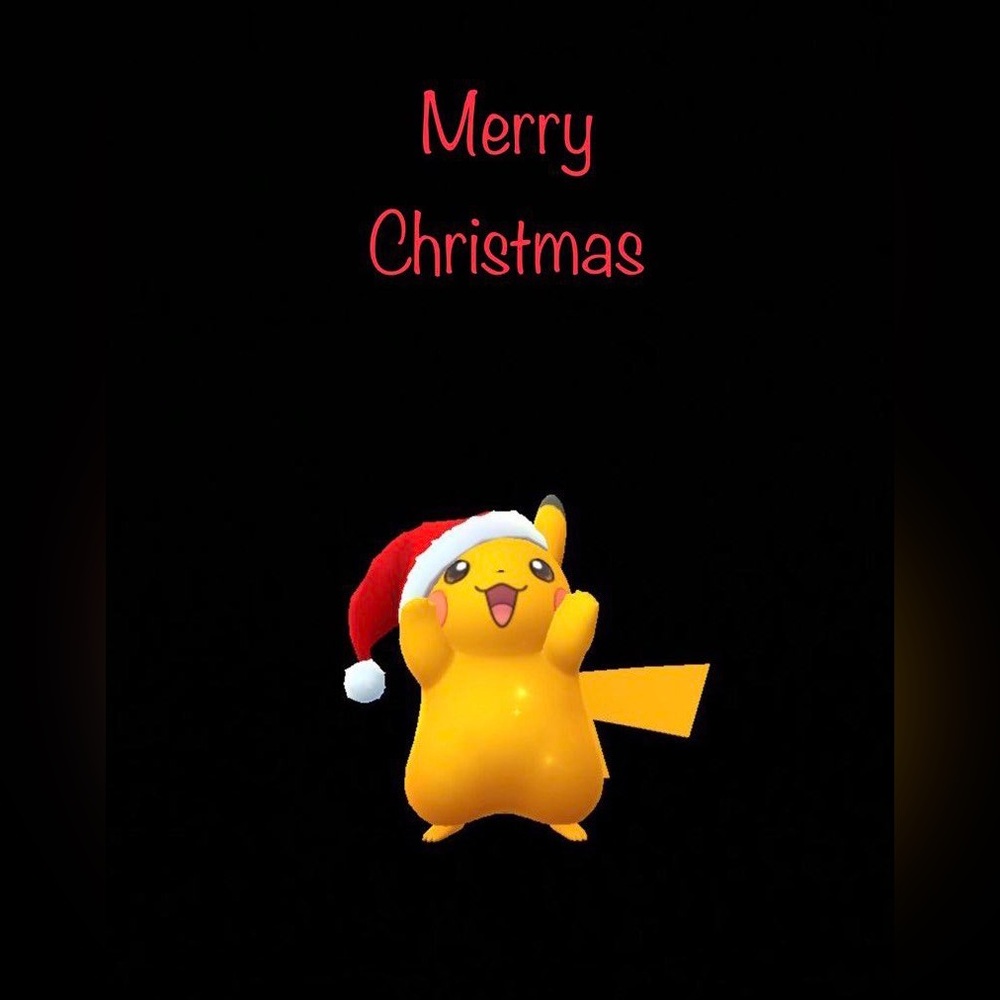 POKEMON ITEM